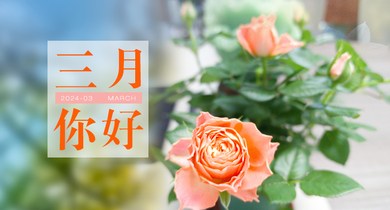 三月,你好!春天的序曲已經響起